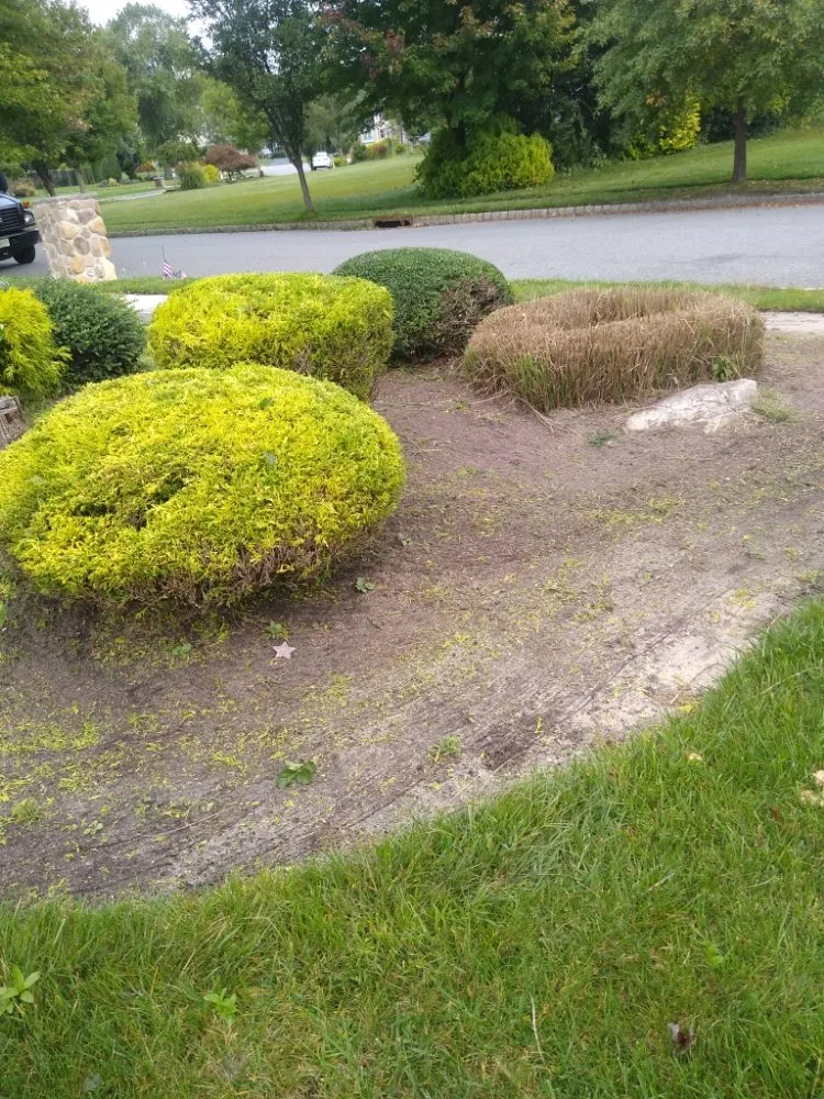 Affordable lawn care service in Pleasantville, NJ - Colin Landscaping