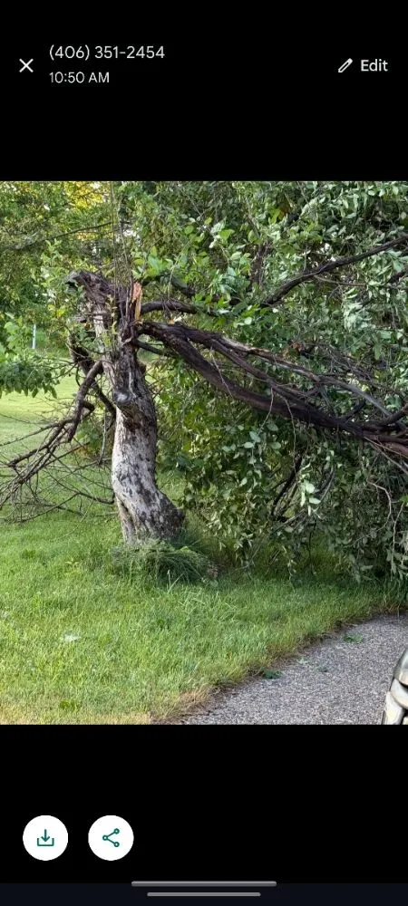 Affordable residential landscaping in Miles City, MT - Colins Handyman service