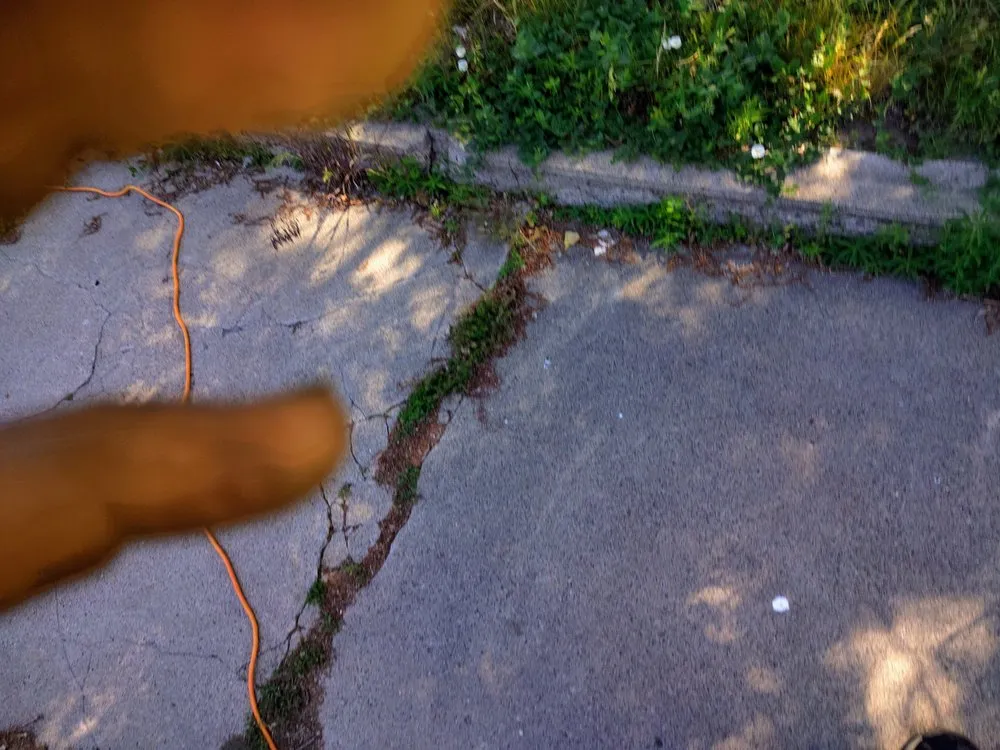 Reliable lawn mowing service experts serving Miles City, MT - Colins Handyman service