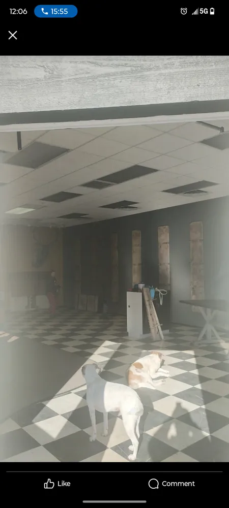 Custom yard maintenance experts serving Miles City, MT - Colins Handyman service