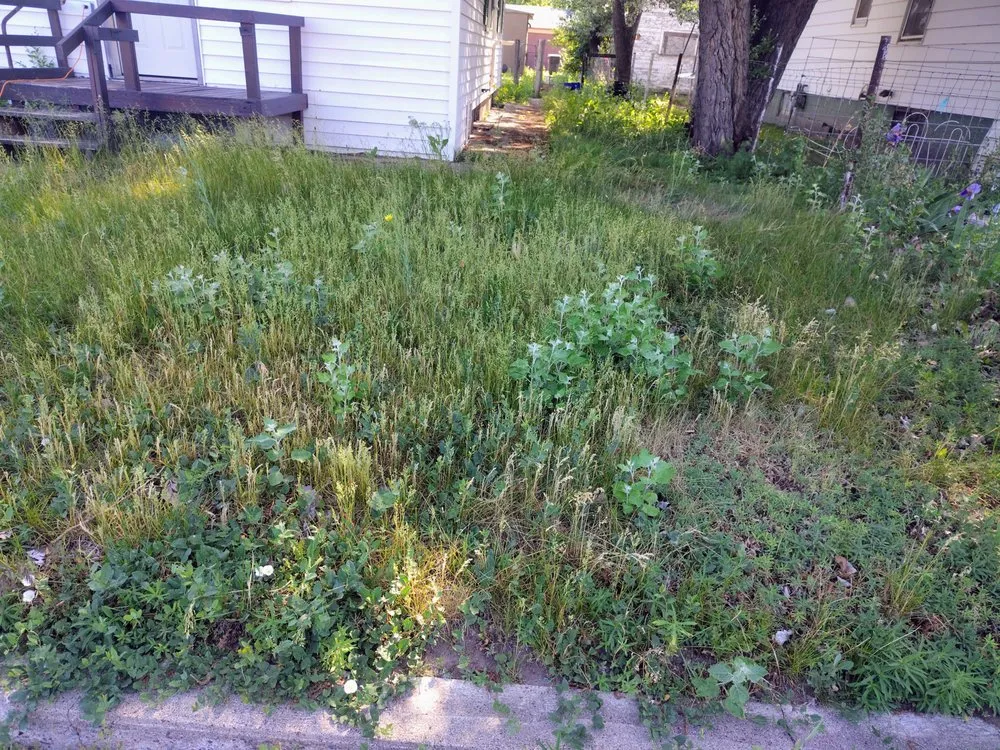 Custom landscape design for homes across Miles City, MT - Colins Handyman service