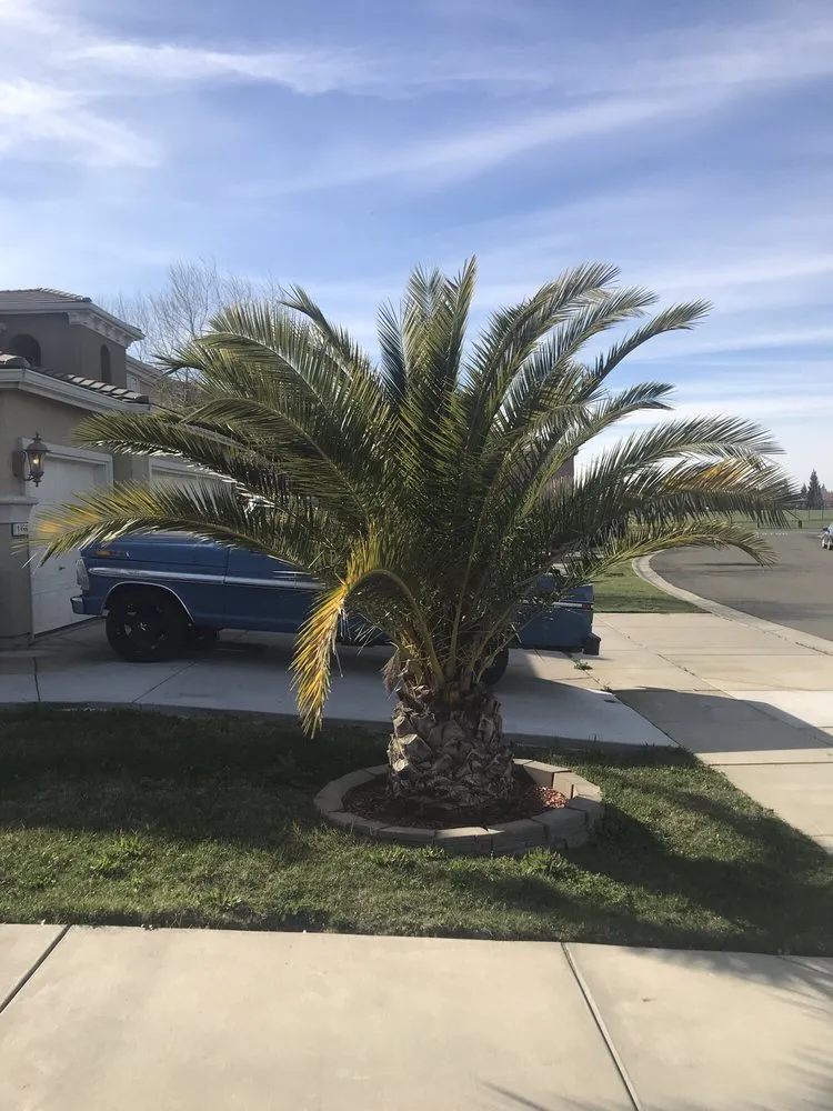 Affordable outdoor landscaping for outdoor upgrades across Marysville, CA - Colin's landscaping