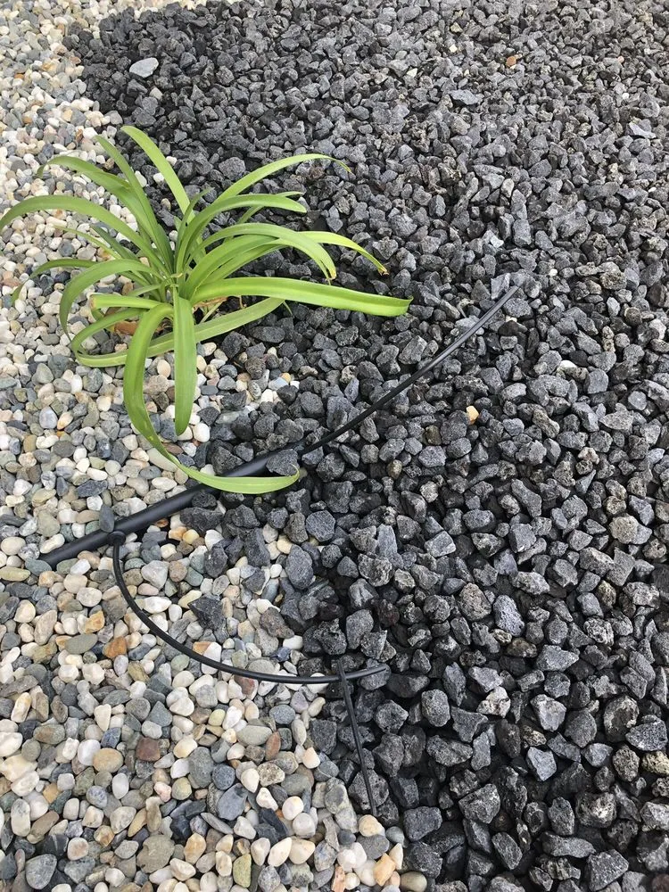 Professional yard maintenance in Marysville, CA - Colin's landscaping