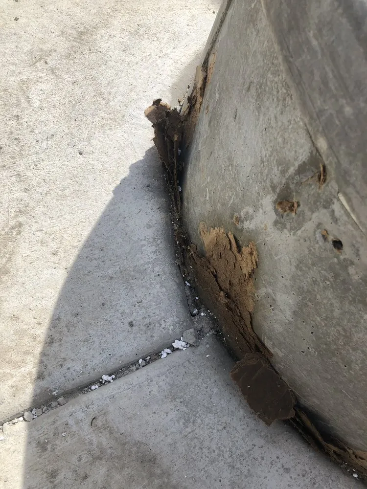 Affordable residential landscaping experts serving Marysville, CA - Colin's landscaping