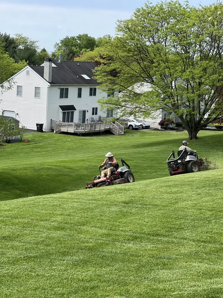 Top-rated yard maintenance in Ewing Township, NJ - Colins Lawn Care Services