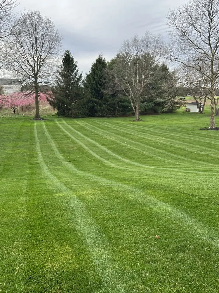 Local lawn care service near you in Ewing Township, NJ by Colins Lawn Care Services