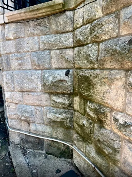 Affordable lawn mowing service in Brooklyn, NY - Collab Stylez Environmental Cleaning