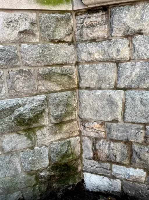 Custom outdoor landscaping for outdoor upgrades in Brooklyn, NY by Collab Stylez Environmental Cleaning