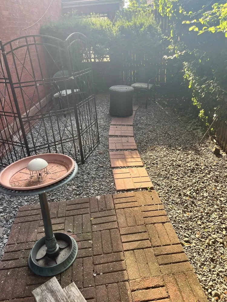 Custom lawn mowing service in Brooklyn, NY - Collab Stylez Environmental Cleaning