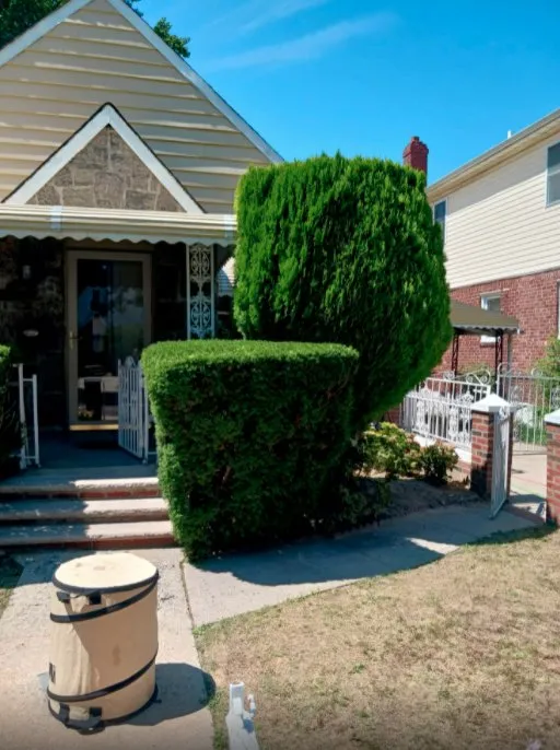 Affordable outdoor landscaping with custom design across Brooklyn, NY - Collab Stylez Environmental Cleaning