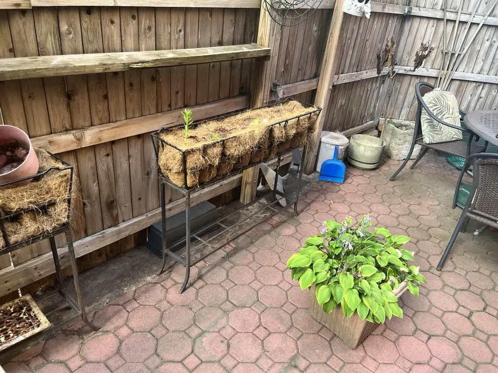 Top-rated landscaping services for beautiful yards across Brooklyn, NY - Collab Stylez Environmental Cleaning