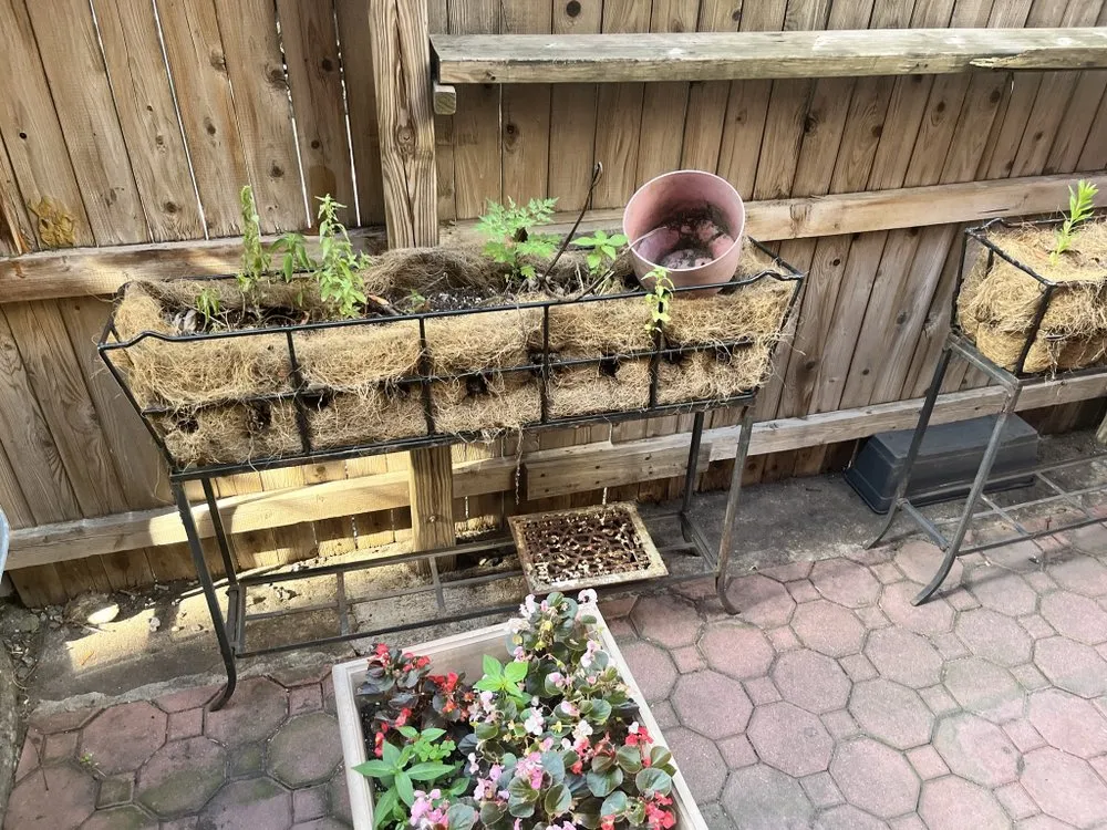 Trusted outdoor landscaping experts serving Brooklyn, NY - Collab Stylez Environmental Cleaning