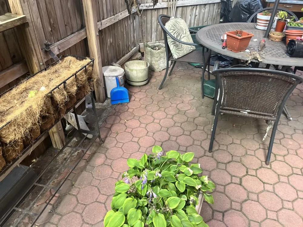 Top-rated yard cleanup service in Brooklyn, NY - Collab Stylez Environmental Cleaning