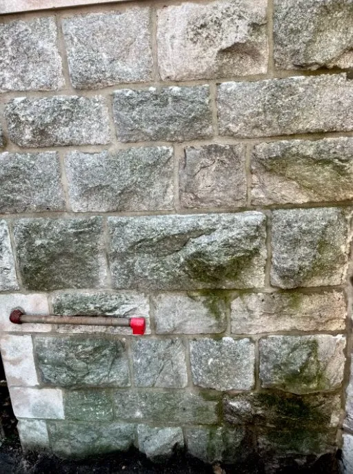 Affordable lawn mowing service for outdoor upgrades in Brooklyn, NY by Collab Stylez Environmental Cleaning