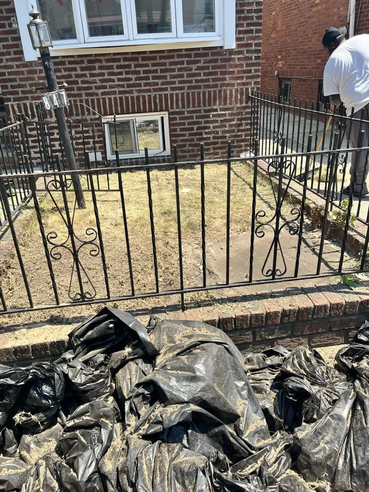 Professional lawn care service near you in Brooklyn, NY by Collab Stylez Environmental Cleaning