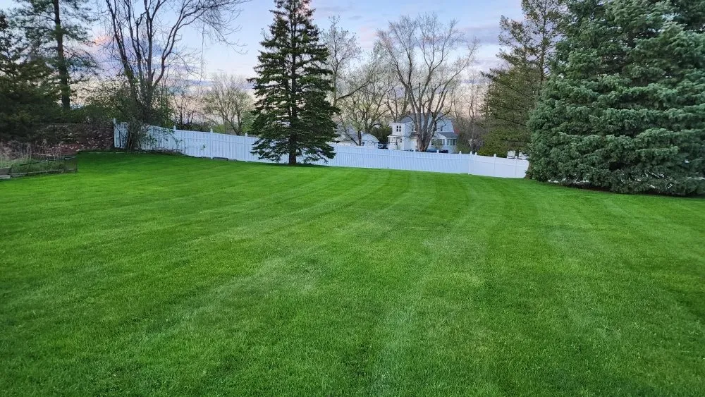 Expert yard cleanup service in Troy, NY by Collar City Lawn Care and Snow Maintenance