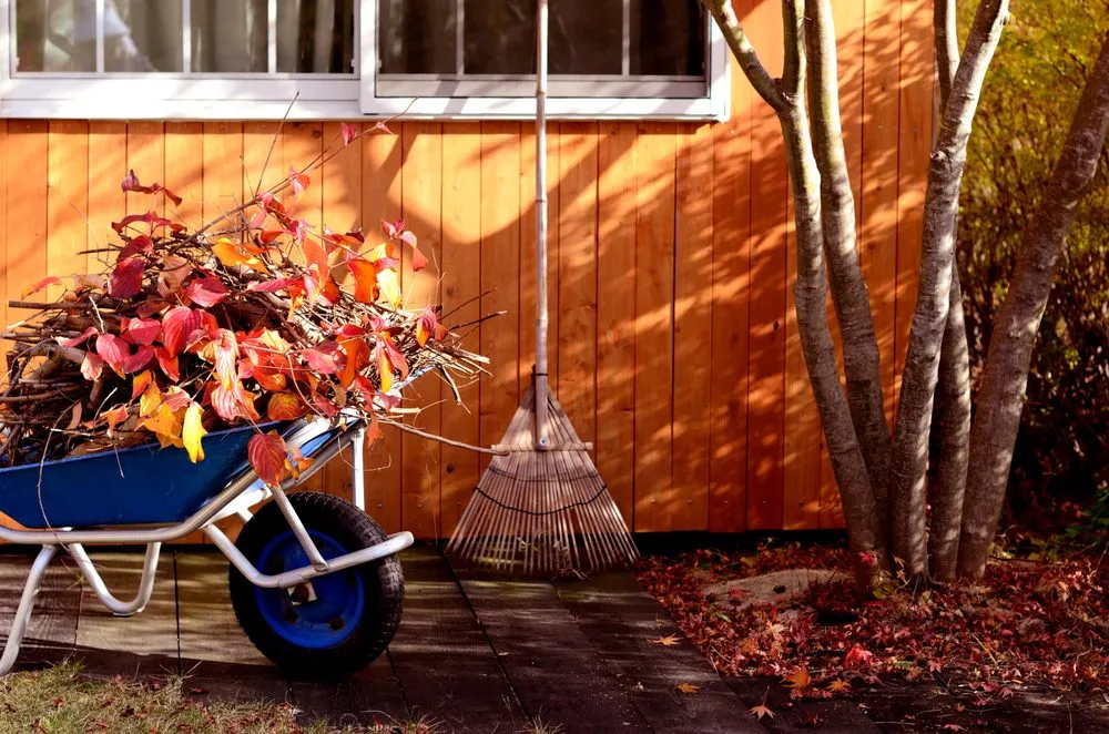 Expert landscape design for outdoor upgrades in Florence, MA by Collective Cleaners