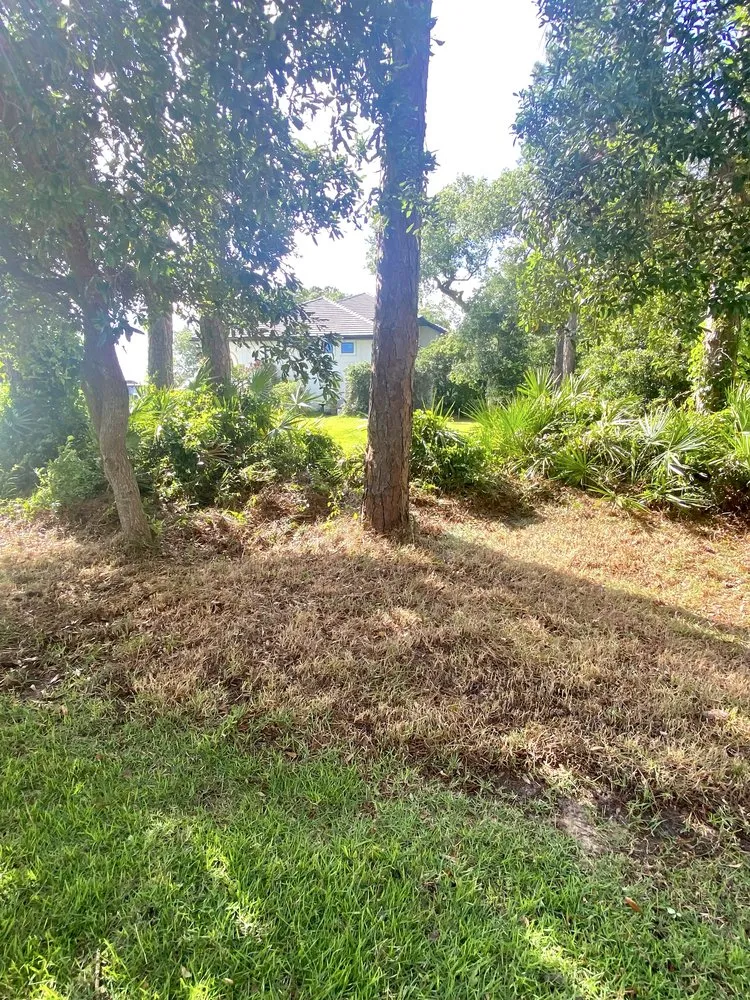 Affordable lawn mowing service with custom design in Niceville, FL by College Bound Lawn Care