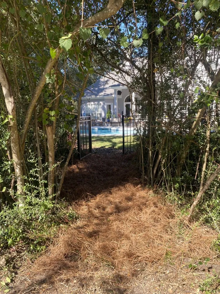 Top-rated landscape installation for residential properties across Niceville, FL - College Bound Lawn Care