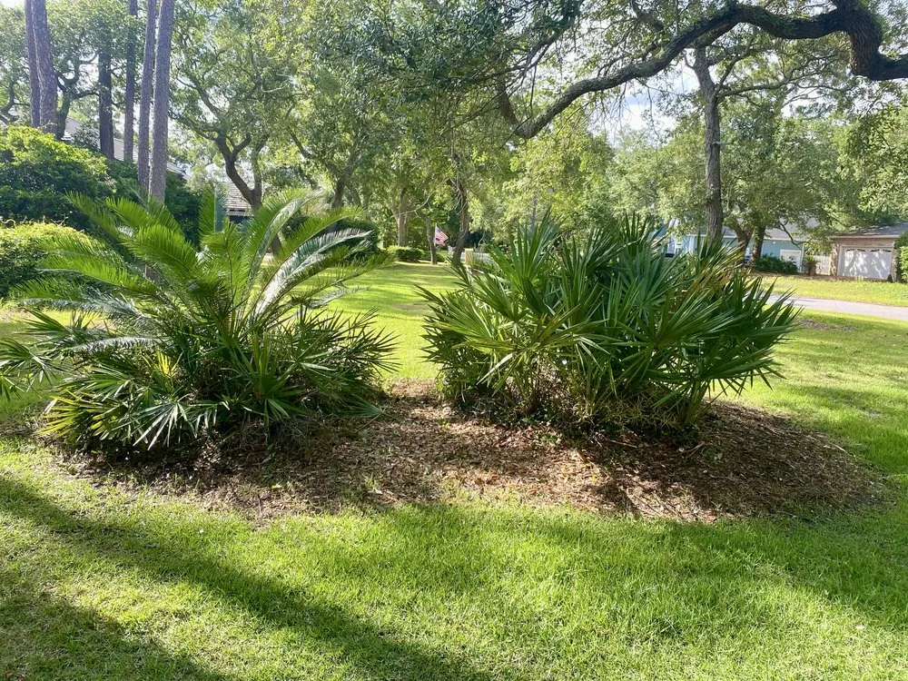 Affordable lawn mowing service for homes in Niceville, FL by College Bound Lawn Care