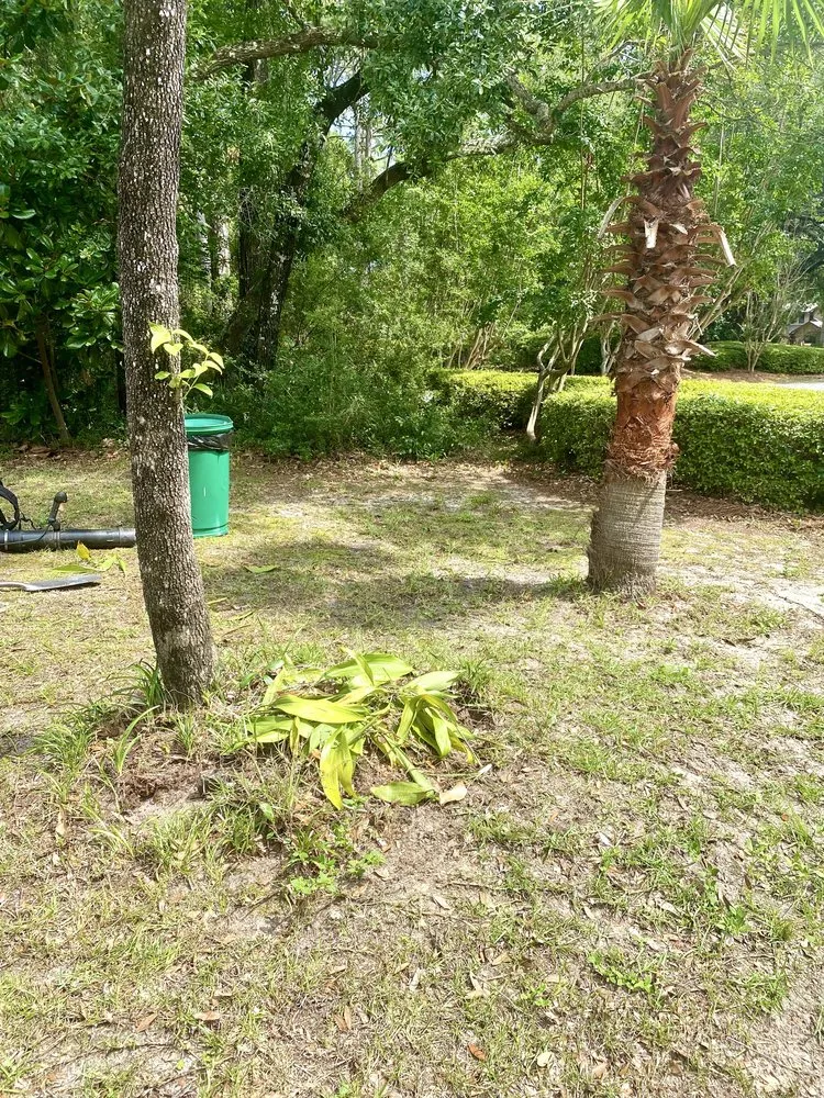 Professional yard maintenance with custom design in Niceville, FL by College Bound Lawn Care