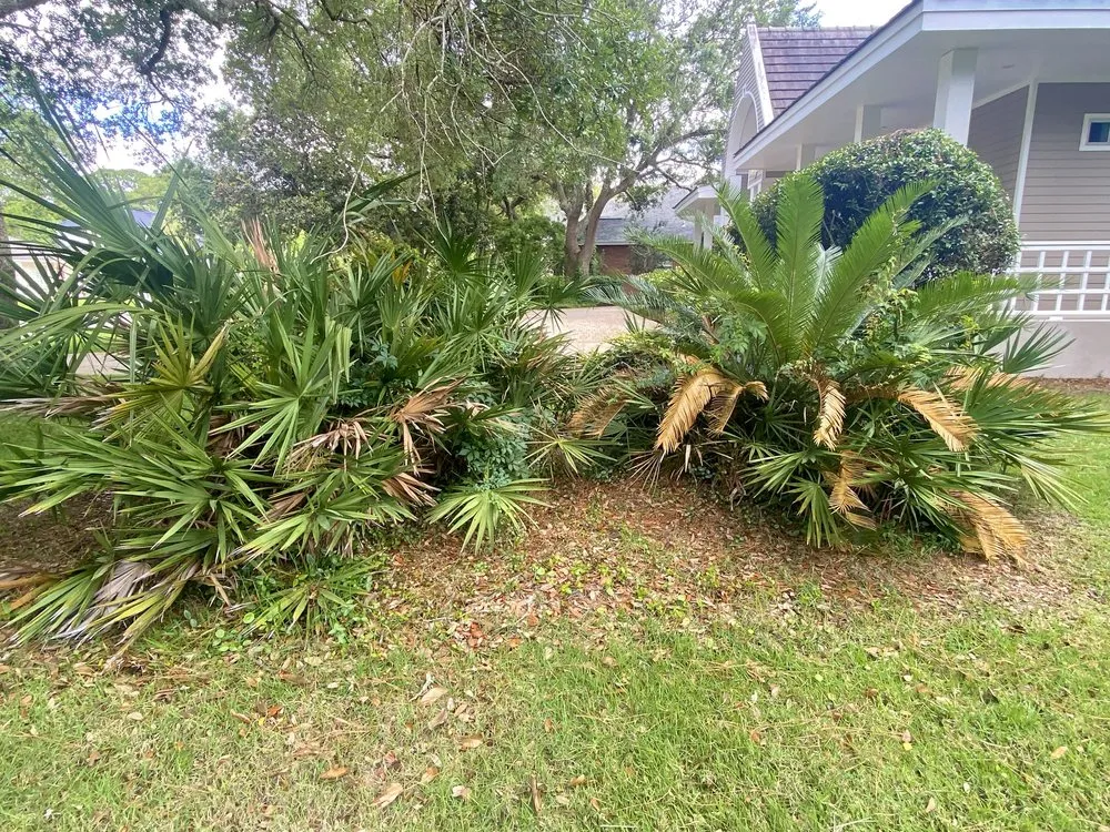 Reliable landscape design for homes in Niceville, FL by College Bound Lawn Care