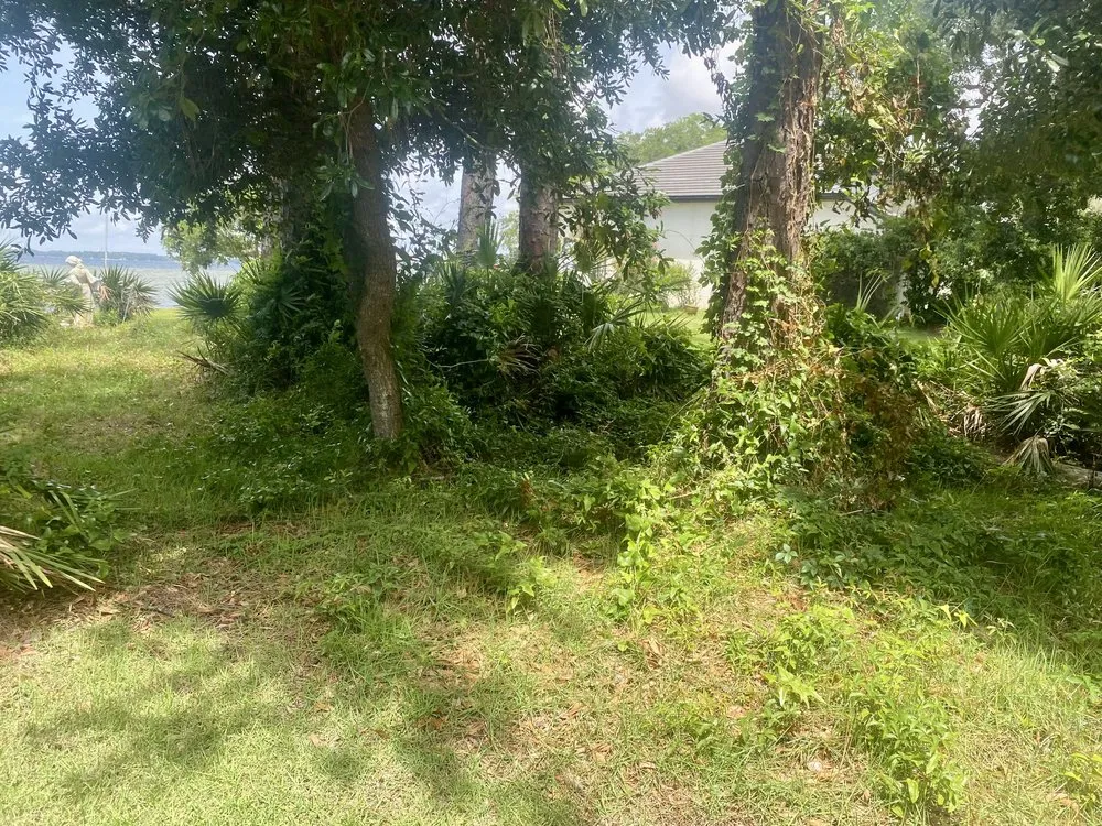 Affordable yard maintenance near you in Niceville, FL by College Bound Lawn Care