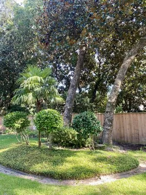 College Bound Lawn Care Logo