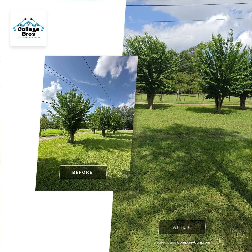 Professional residential landscaping experts serving Monroe, LA - College Bros Outdoor Services