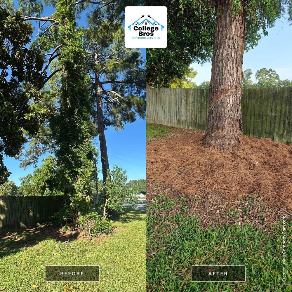 Local residential landscaping in Monroe, LA - College Bros Outdoor Services