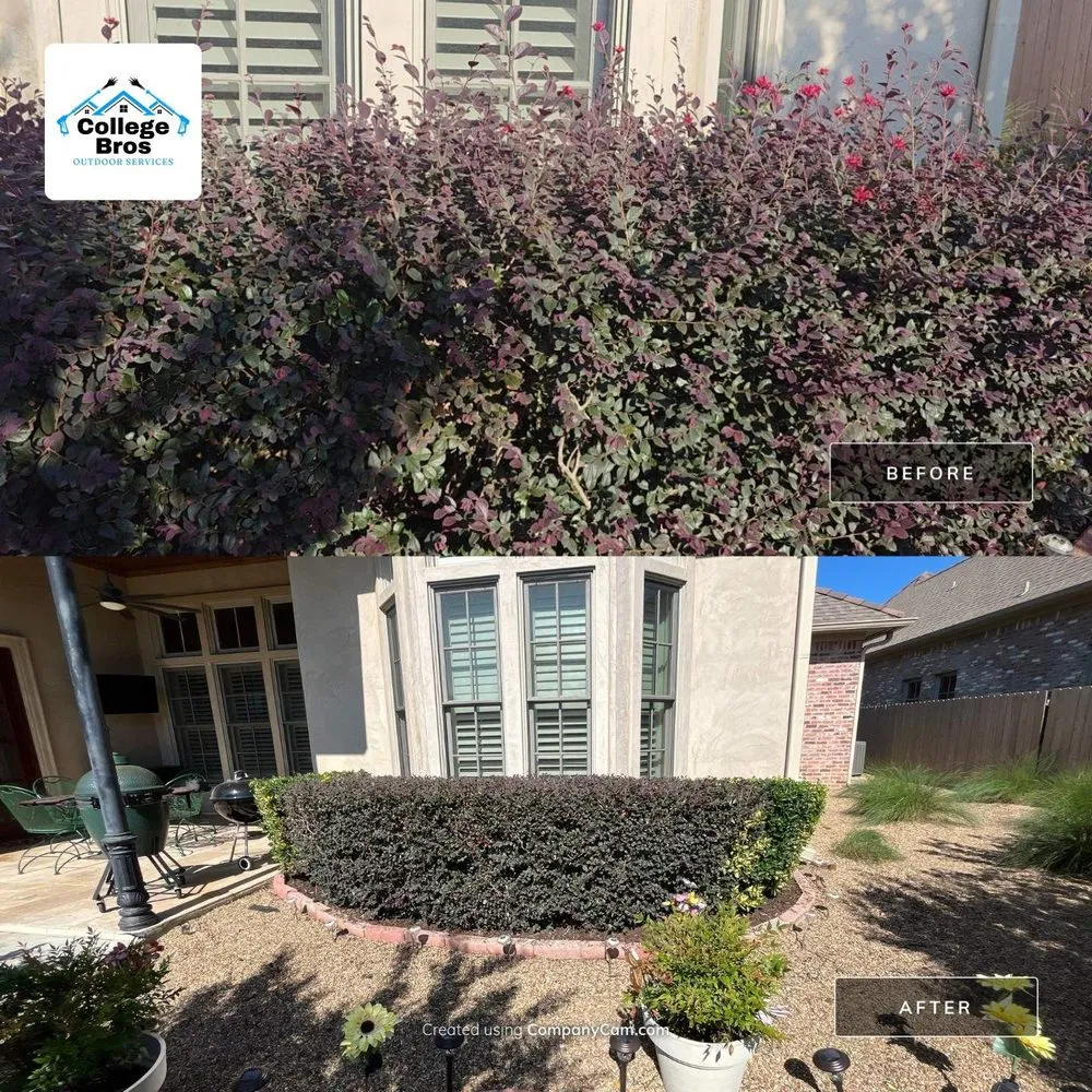 Affordable residential landscaping for beautiful yards in Monroe, LA by College Bros Outdoor Services