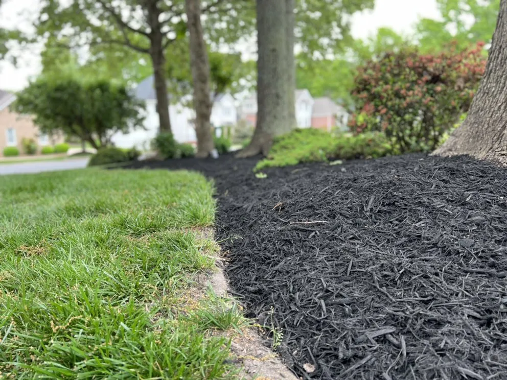 Professional landscaping services experts serving Glen Allen, VA - College Greenscapers