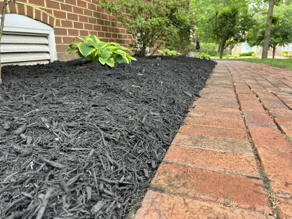 Trusted lawn mowing service in Glen Allen, VA - College Greenscapers