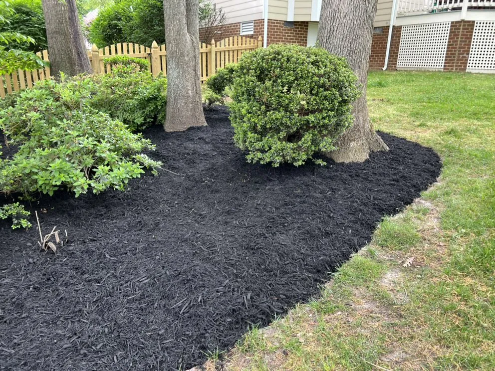 Trusted outdoor landscaping near you across Glen Allen, VA - College Greenscapers