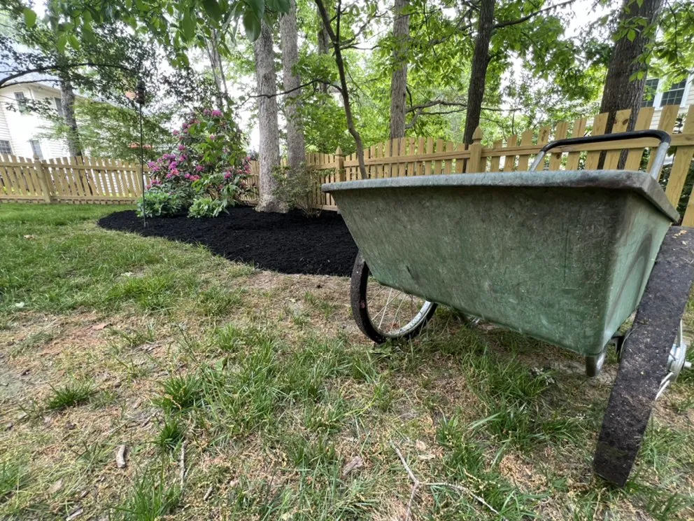 Custom lawn care service in Glen Allen, VA by College Greenscapers