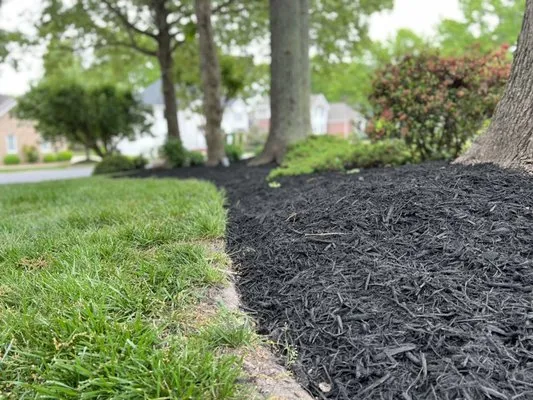 College Greenscapers Logo