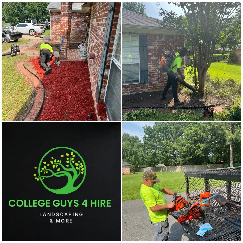 Reliable outdoor landscaping for beautiful yards across Shreveport, LA - College Guys 4 Hire