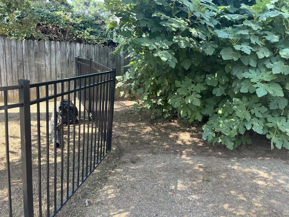 Top-rated landscape installation experts serving Shreveport, LA - College Guys 4 Hire