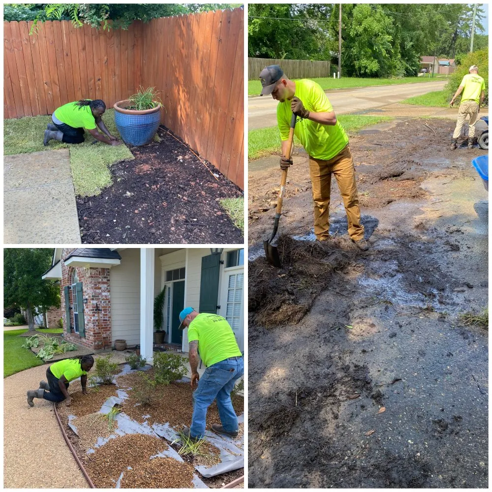 Affordable residential landscaping for year-round maintenance across Shreveport, LA - College Guys 4 Hire