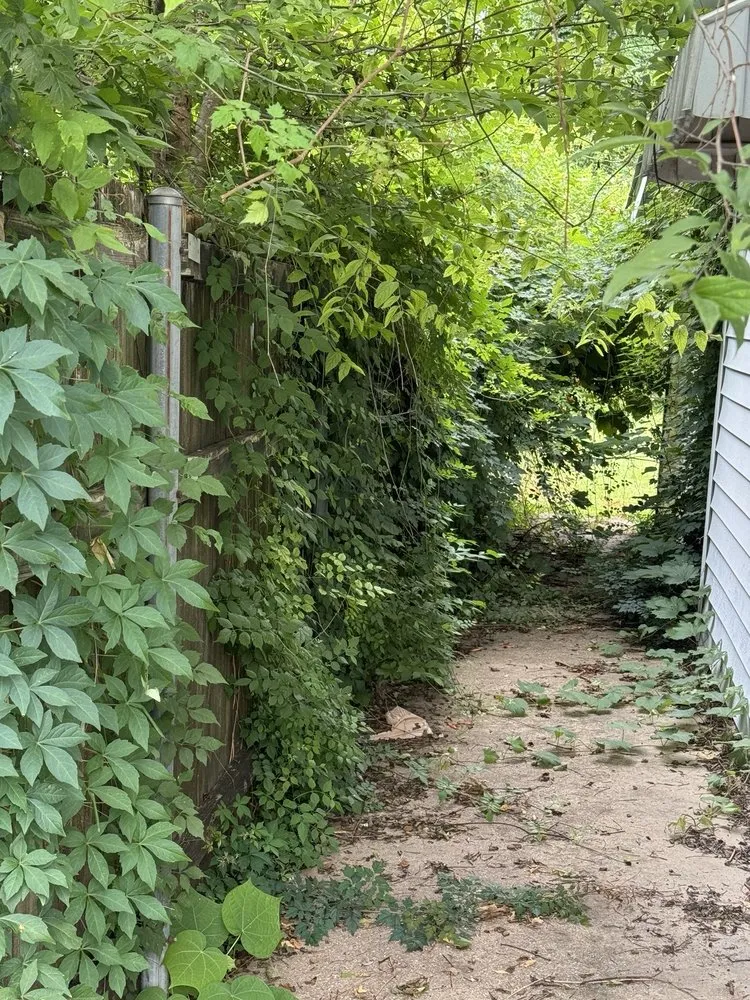 Expert outdoor landscaping in Shreveport, LA - College Guys 4 Hire