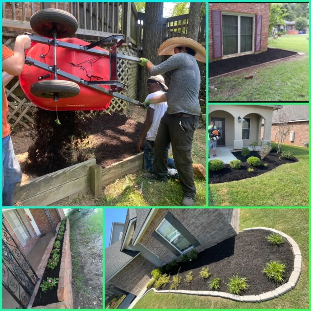 Expert yard cleanup service for outdoor upgrades across Shreveport, LA - College Guys 4 Hire