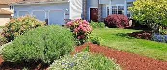 Custom yard cleanup service in Birmingham, MI by College Landscapers