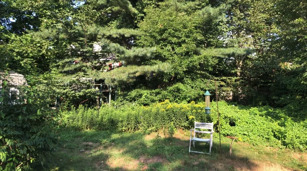 Affordable landscaping services in Peabody, MA - College Student Lawn Care