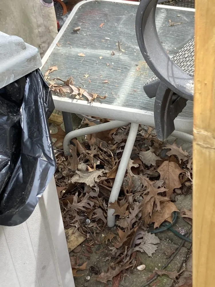 Local landscape design near you in Orland Park, IL by College Students Landscaping