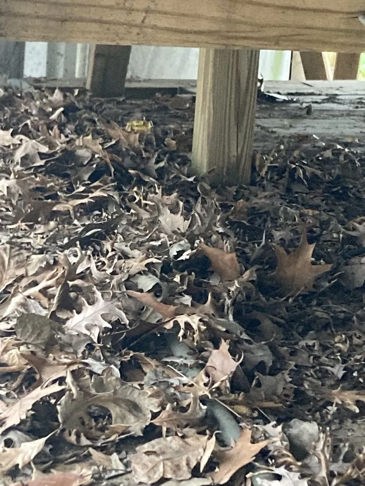 Expert landscape installation experts serving Orland Park, IL - College Students Landscaping