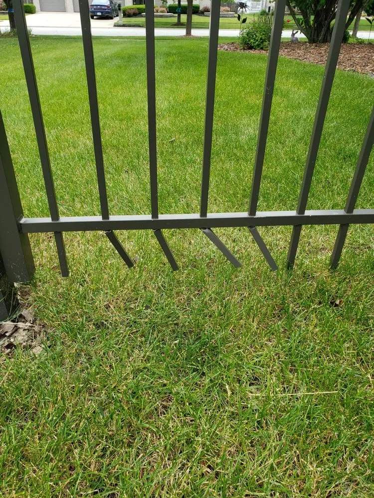 Expert landscaping services in Orland Park, IL by College Students Landscaping