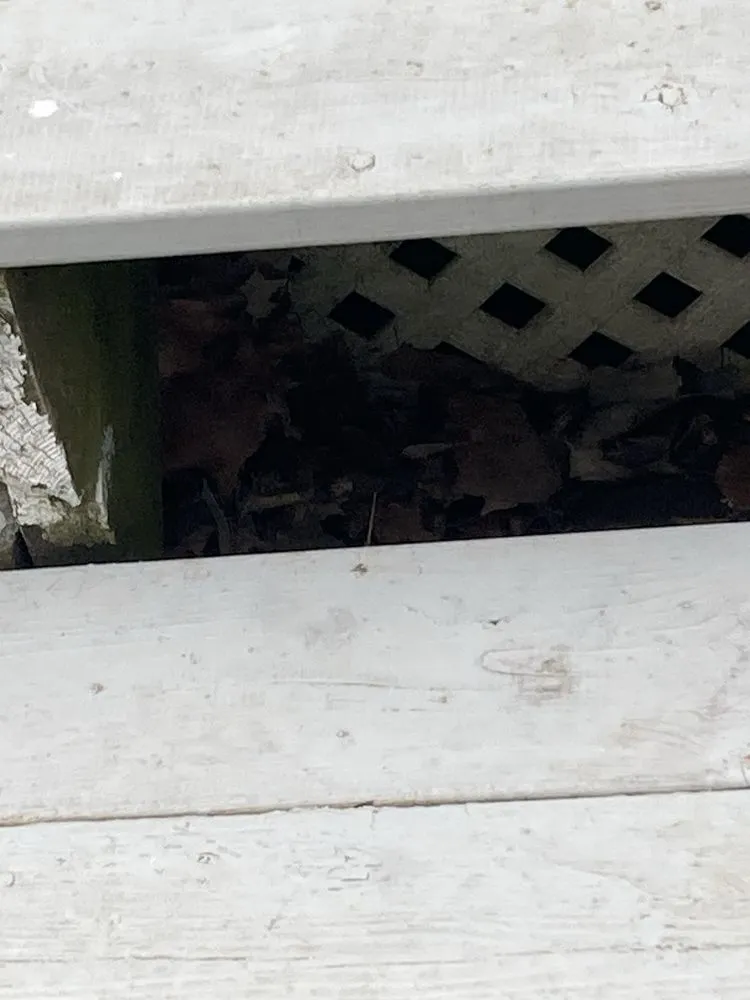 Affordable landscaping services near you in Orland Park, IL by College Students Landscaping