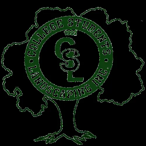 Professional residential landscaping in Orland Park, IL by College Students Landscaping