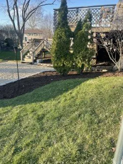 Top-rated landscaping services in Orland Park, IL by College Students Landscaping