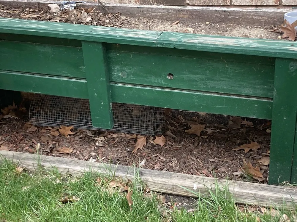 Trusted lawn care service in Orland Park, IL by College Students Landscaping